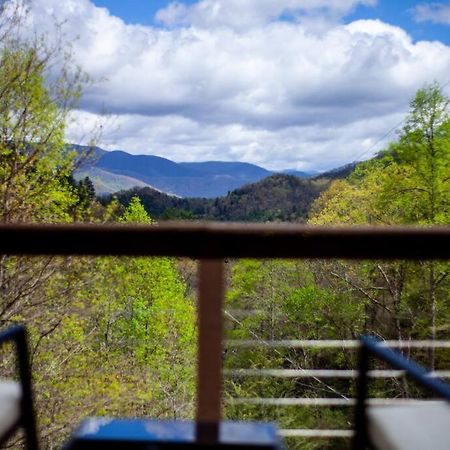 Family Cabin Near Smoky Mtn Entrance Nantahala Robbinsville Exteriör bild