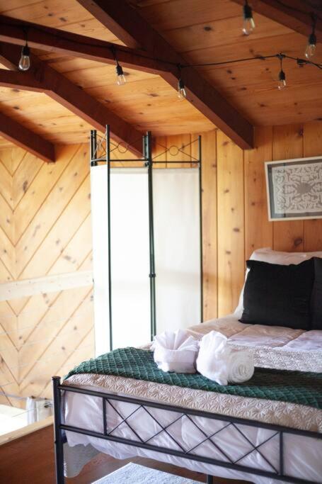 Family Cabin Near Smoky Mtn Entrance Nantahala Robbinsville Exteriör bild